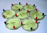 Демонстрационный комплект «Силовые линии электрического поля разных систем зарядов» - fgospostavki.ru - Одинцово