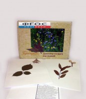 Гербарий "Дикорастущие растения" (28 видов) - fgospostavki.ru - Одинцово