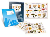 Комплект кодотранспарантов "Грибы" - fgospostavki.ru - Одинцово