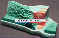 Модель "Структура листа" - fgospostavki.ru - Одинцово