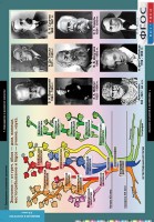 Комплект таблиц. Биология. Введение в экологию. - fgospostavki.ru - Одинцово