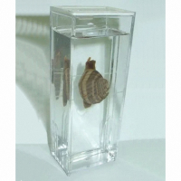 Влажный препарат "Виноградная улитка"	 - fgospostavki.ru - Одинцово