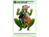 Рельефная таблица "Внутреннее строение лягушки" (формат А1, матовое ламинирование) - fgospostavki.ru - Одинцово