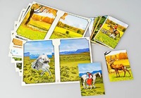 Настольно-печатная игра "Вокруг света" - fgospostavki.ru - Одинцово