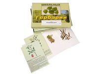 Гербарий "Для начальной школы" (30 видов, с иллюстрациями) - fgospostavki.ru - Одинцово