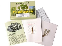 Гербарий "Водоросли. Грибы. Лишайники" (раздаточный) - fgospostavki.ru - Одинцово