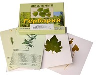 Гербарий "Систематика растений. Высшие споровые и семенные" (раздаточный) - fgospostavki.ru - Одинцово