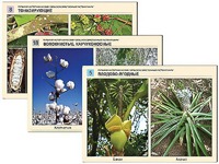 Гербарий фотографический "Сельскохозяйственные растения мира" - fgospostavki.ru - Одинцово