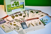 Гербарий к курсу основ общей биологии - fgospostavki.ru - Одинцово
