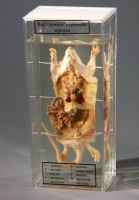 Влажный препарат "Внутреннее строение крысы" - fgospostavki.ru - Одинцово