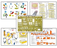 Плакаты ПРОФТЕХ "Сырье и материалы хлебопекарного производства" (20 пл, винил, 70х100) - fgospostavki.ru - Одинцово