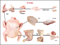 Таблица "Правила разделки мясных туш. Курица" (100х140 сантиметров, винил) - fgospostavki.ru - Одинцово