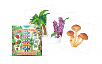 Набор карточек "Ботанический сад" - fgospostavki.ru - Одинцово
