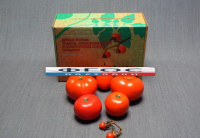 Набор муляжей "Дикая форма и культурные сорта томатов" - fgospostavki.ru - Одинцово