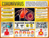 Плакат "Коронавирус" (вариант 2) - fgospostavki.ru - Одинцово
