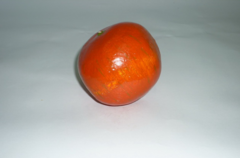 Муляж "Гранат" - fgospostavki.ru - Одинцово