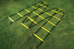 Лестница для тренировок (вариант 1) - fgospostavki.ru - Одинцово