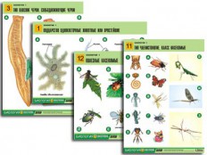Биология - fgospostavki.ru - Одинцово