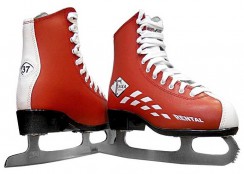 Зимний инвентарь - fgospostavki.ru - Одинцово