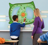 Интерактивное оборудование - fgospostavki.ru - Одинцово