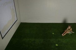 Интерактивная светозвуковая система “Лайт Бим” - fgospostavki.ru - Одинцово