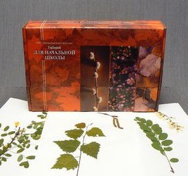 Гербарий для Начальной школы (28 видов) - fgospostavki.ru - Одинцово