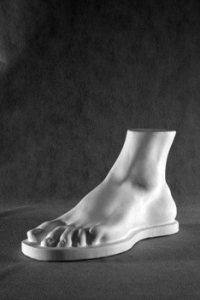 Стопа Геракла (гипс) - fgospostavki.ru - Одинцово