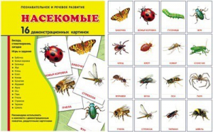 Демонстрационные карточки "Насекомые" - fgospostavki.ru - Одинцово