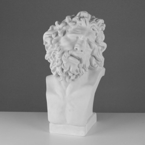 Бюст Лаокоона (гипс) - fgospostavki.ru - Одинцово