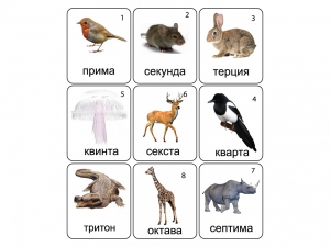 Набор магнитных карточек по музыке "Животные" (9 штук) - fgospostavki.ru - Одинцово