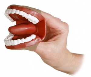 Муляж артикуляционного аппарата - fgospostavki.ru - Одинцово