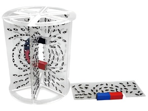 Модель для демонстрации в объеме линий магнитного поля - fgospostavki.ru - Одинцово