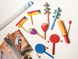 Комплект шумовых музыкальных инструментов - fgospostavki.ru - Одинцово