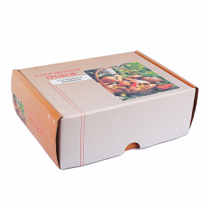 Набор муляжей грибов съедобных и ядовитых - fgospostavki.ru - Одинцово