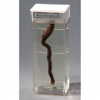 Влажный препарат "Пескожил" - fgospostavki.ru - Одинцово