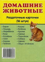 Раздаточные карточки "Домашние животные" - fgospostavki.ru - Одинцово