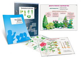 Комплект кодотранспарантов "Культурные растения" - fgospostavki.ru - Одинцово