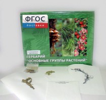 Гербарий "Основные группы растений" (52 листа) - fgospostavki.ru - Одинцово