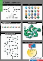 Комплект таблиц. Биология. Химия клетки. - fgospostavki.ru - Одинцово
