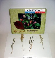 Гербарий "Культурные растения" (28 видов) - fgospostavki.ru - Одинцово