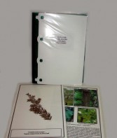 Гербарий "Эволюция высших растений" (ламинированный) - fgospostavki.ru - Одинцово