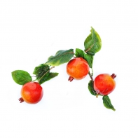 Ветка муляжей "Гранат" - fgospostavki.ru - Одинцово