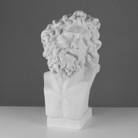 Бюст Лаокоона (гипс) - fgospostavki.ru - Одинцово