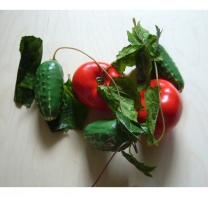 Ветка муляжей "Ассорти" (овощи) - fgospostavki.ru - Одинцово