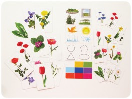 Набор магнитных карточек "Загадки-отрицания". Цветы - fgospostavki.ru - Одинцово