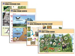 Комплект таблиц по биологии демонстрационных "Общая биология 2" (14 таблиц, формат А1, ламинированные) - fgospostavki.ru - Одинцово