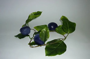 Ветка муляжей "Слива" - fgospostavki.ru - Одинцово