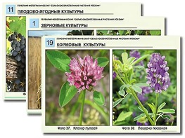Гербарий фотографический "Сельскохозяйственные растения России" - fgospostavki.ru - Одинцово