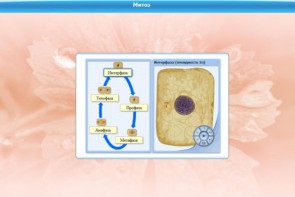 Интерактивные курсы. Биология 6 класс. Базовый - fgospostavki.ru - Одинцово