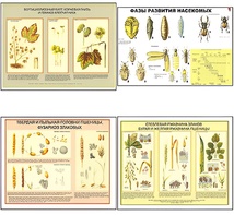 Плакаты ПРОФТЕХ "Вредители и болезни с/х культур и меры борьбы с ними" (11 пл, винил, 70х100) - fgospostavki.ru - Одинцово